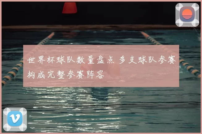世界杯球队数量盘点 多支球队参赛构成完整参赛阵容