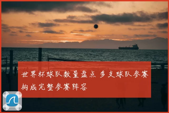 世界杯球队数量盘点 多支球队参赛构成完整参赛阵容