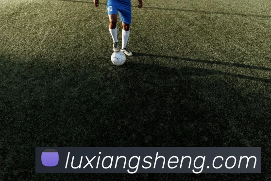 App Interface Preview